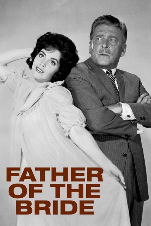 Father of the Bride Season 1 poster