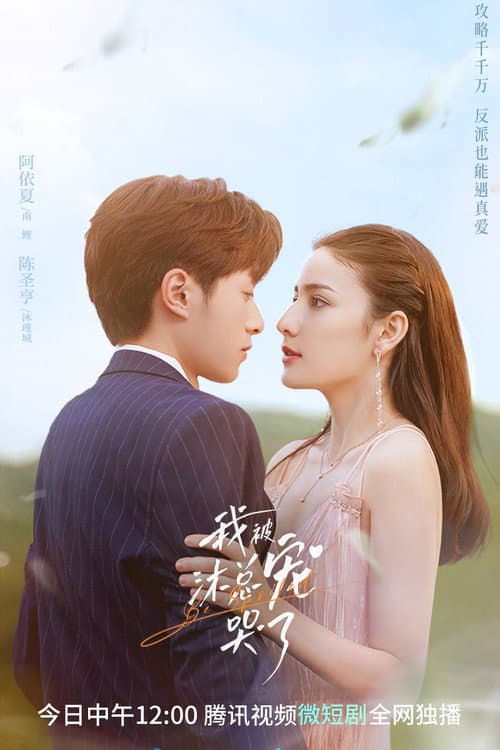 我被沐总宠哭了 Season 1 poster