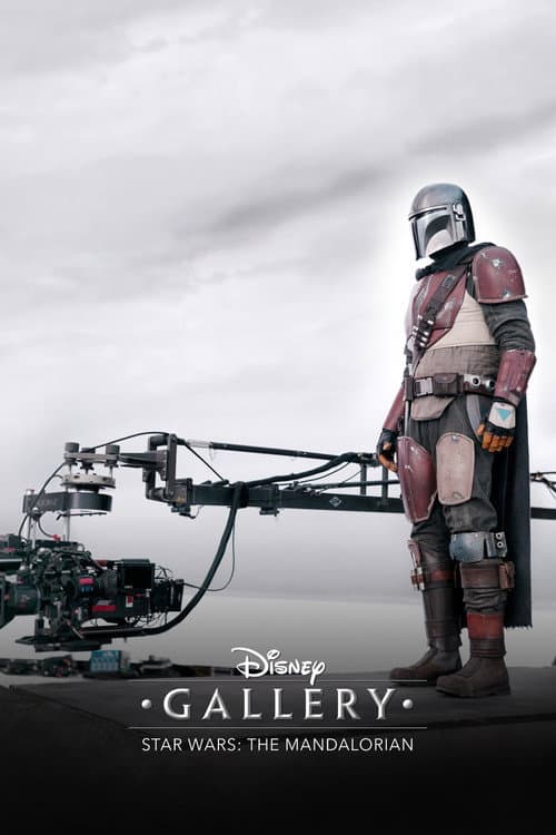 Disney Gallery / Star Wars: The Mandalorian Season 1 poster