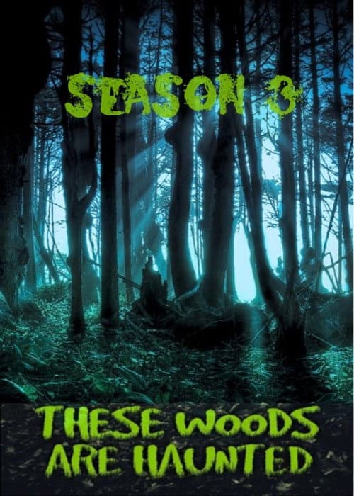 These Woods Are Haunted Season 3 poster