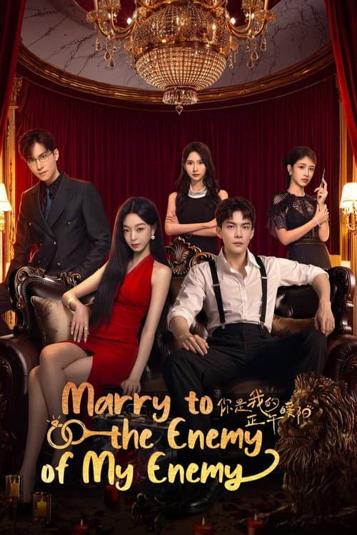 Marry to the Enemy of My Enemy Season 1 poster