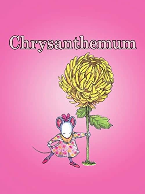 Chrysanthemum