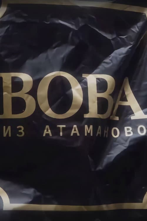 Вова из Атаманово Season 1 poster