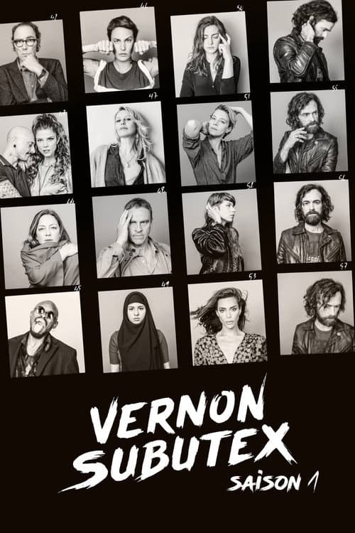 Vernon Subutex Season 1 poster