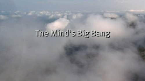 The Mind's Big Bang