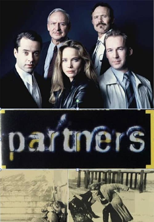 Die Partner Season 1 poster