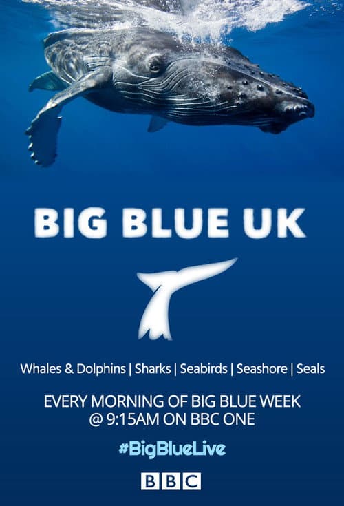 Big Blue UK Season 1 poster