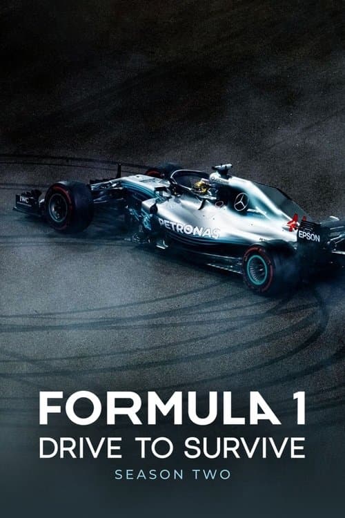 Formula 1: Drive to Survive Season 2 poster