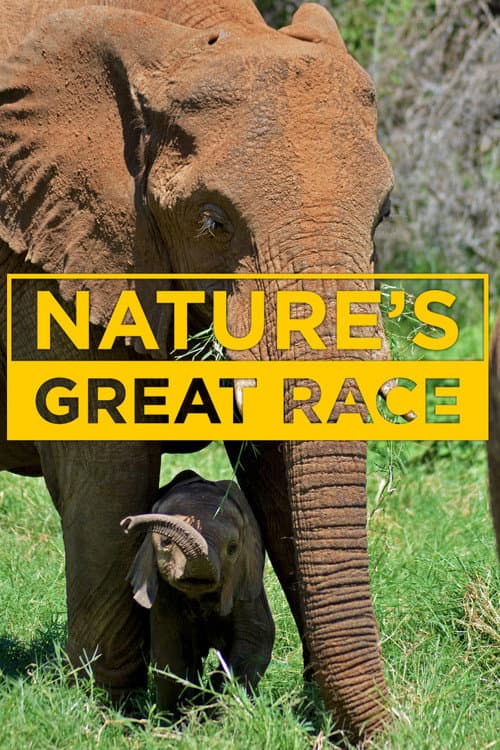 Nature's Epic Journeys Season 1 poster