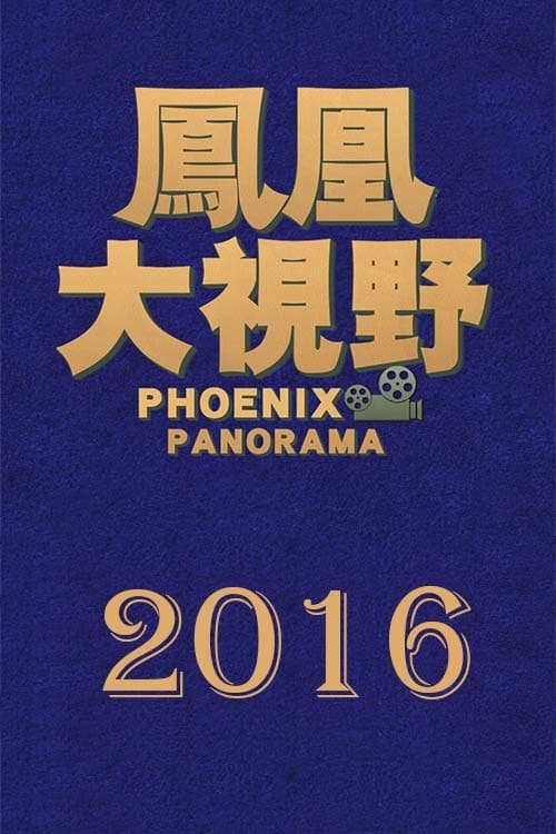 凤凰大视野 Season 13 poster